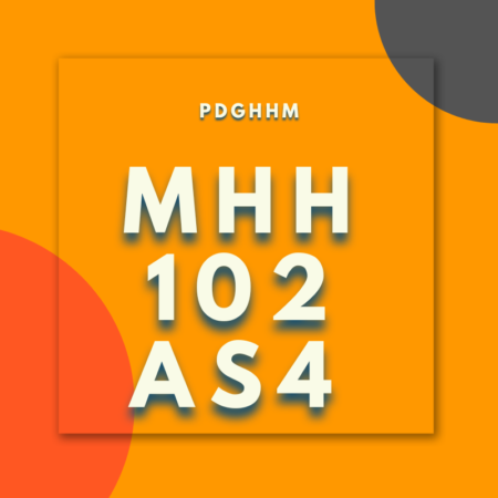 MHH-102/AS-4: PGDHHM