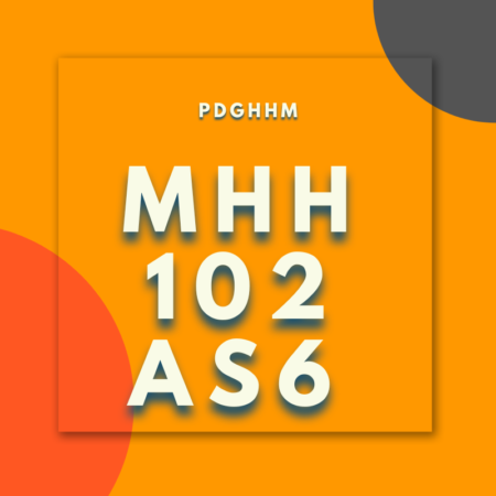 MHH-102/AS-6: PGDHHM